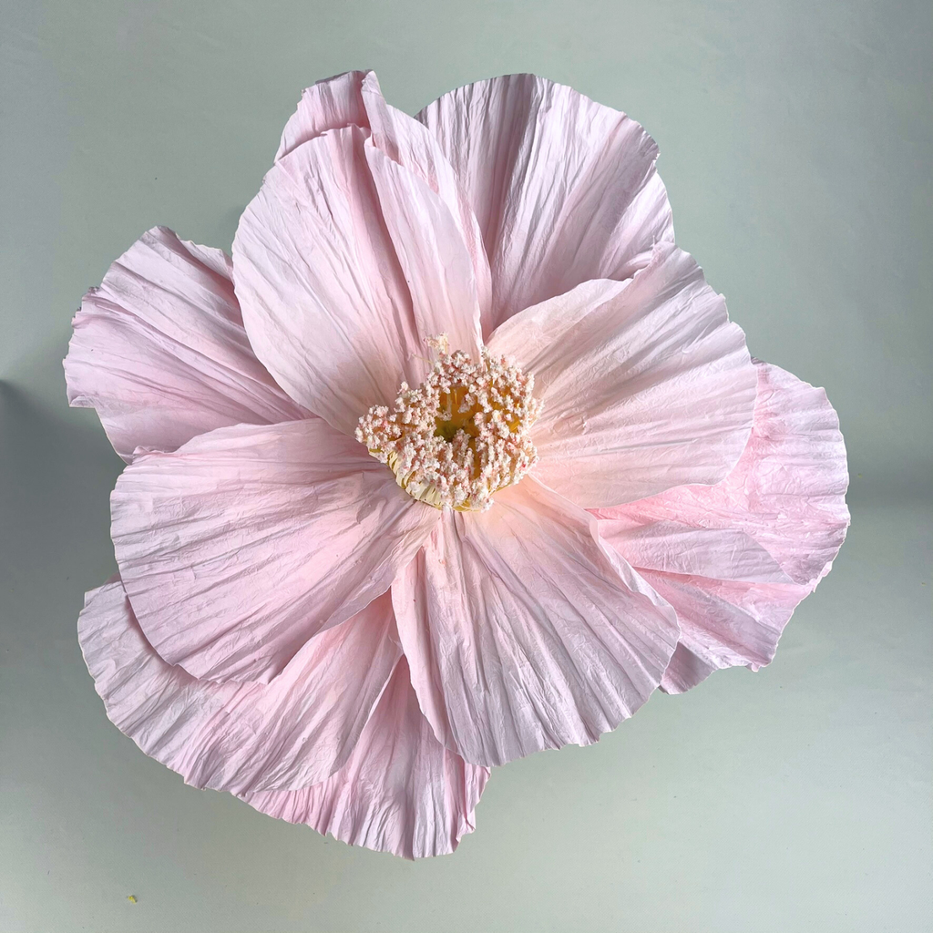 close-up of the Margot paper flower in the smaller size, with a pink and light yellow centre