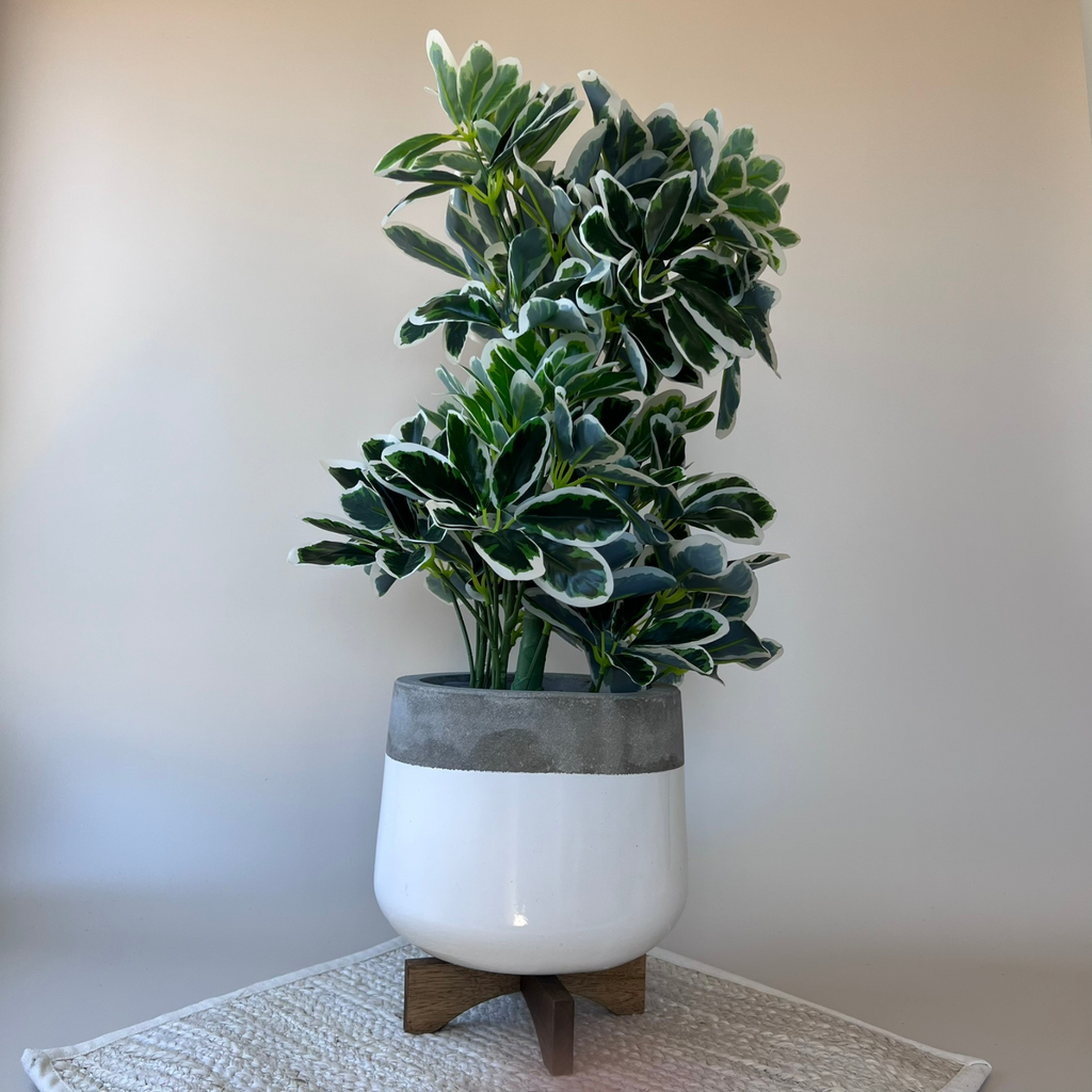 65cm Artificial Variegated Umbrella Plant placed in a grey and white textured pot