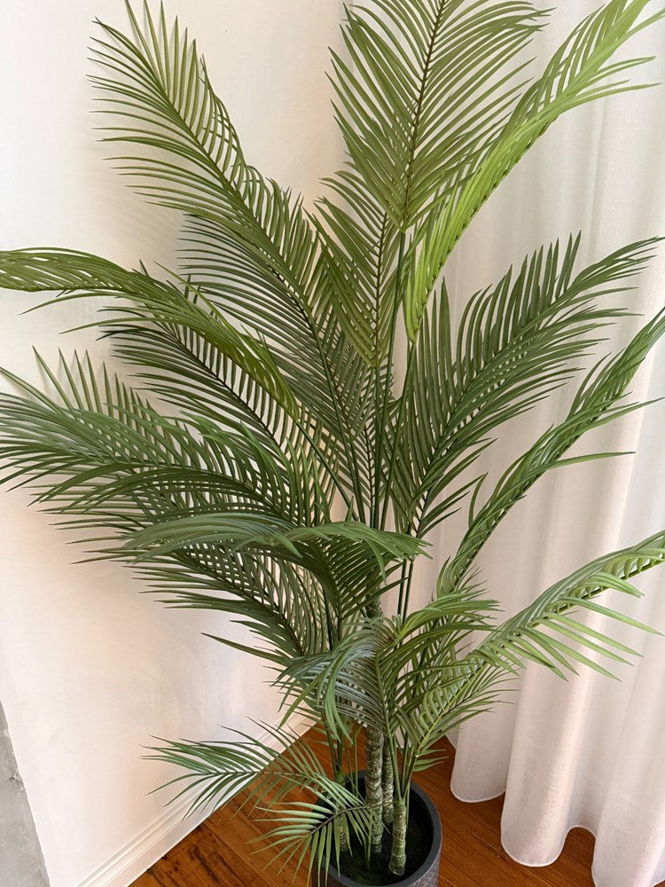 A potted artificial Areca Palm plant against a white curtain background