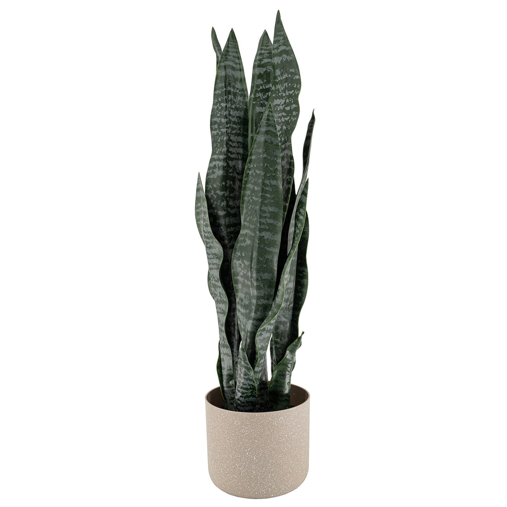 Artificial Plant Sansevieria in cream pot