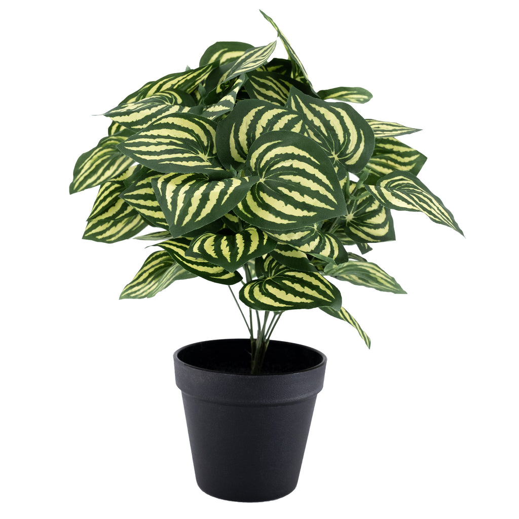 Artificial plant watermelon leaves in black colour pot
