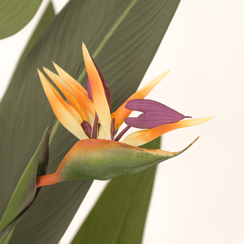 Artificial Bird of Paradise flower with orange, yellow, and purple petals among green leaves.