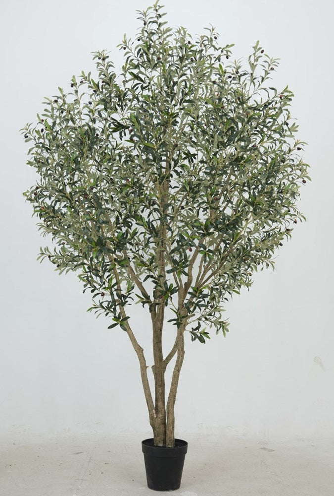 A 3M tall faux Olive Tree in a pot with a white background