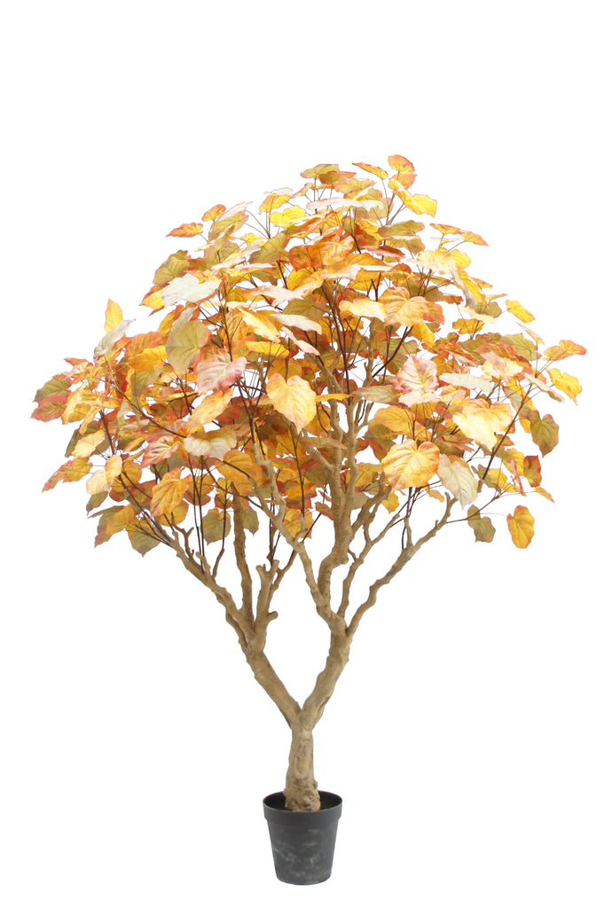 Artificial potted oak tree 2.5M tall with golden autumn leaves on a white background