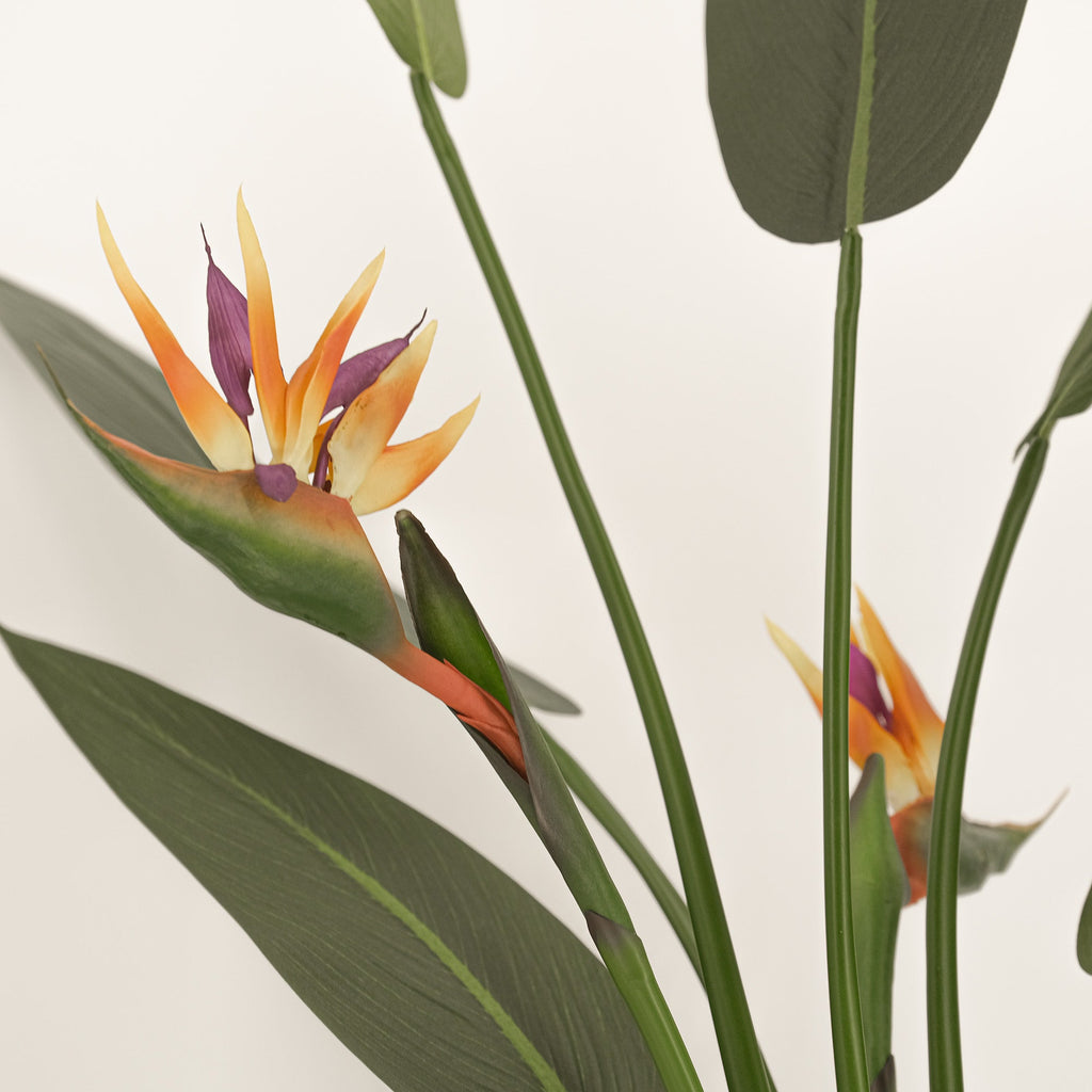 Artificial Bird of Paradise plant with purple, yellow, and orange flowers and green foliage.