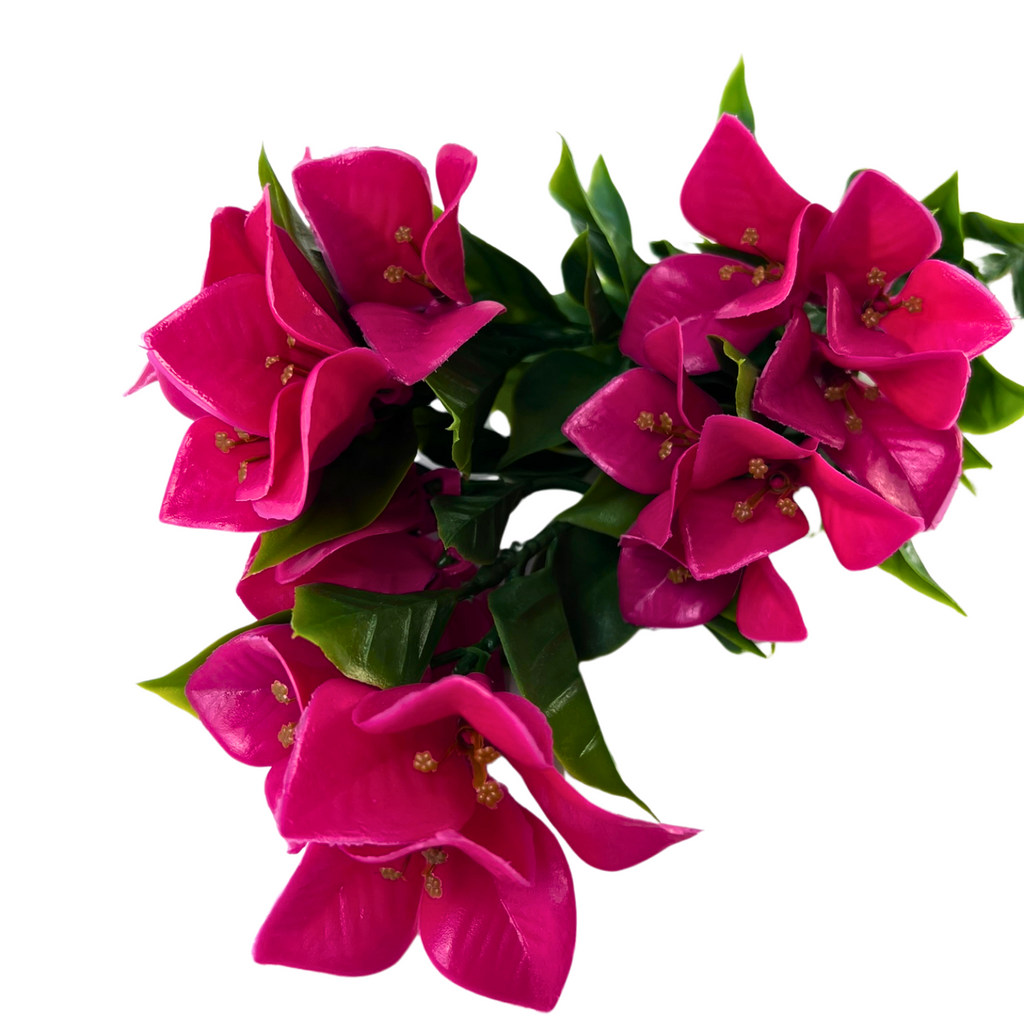 A stem of pink bougainvillea flowers withe leaves suitable for long term outdoor or indoor use.