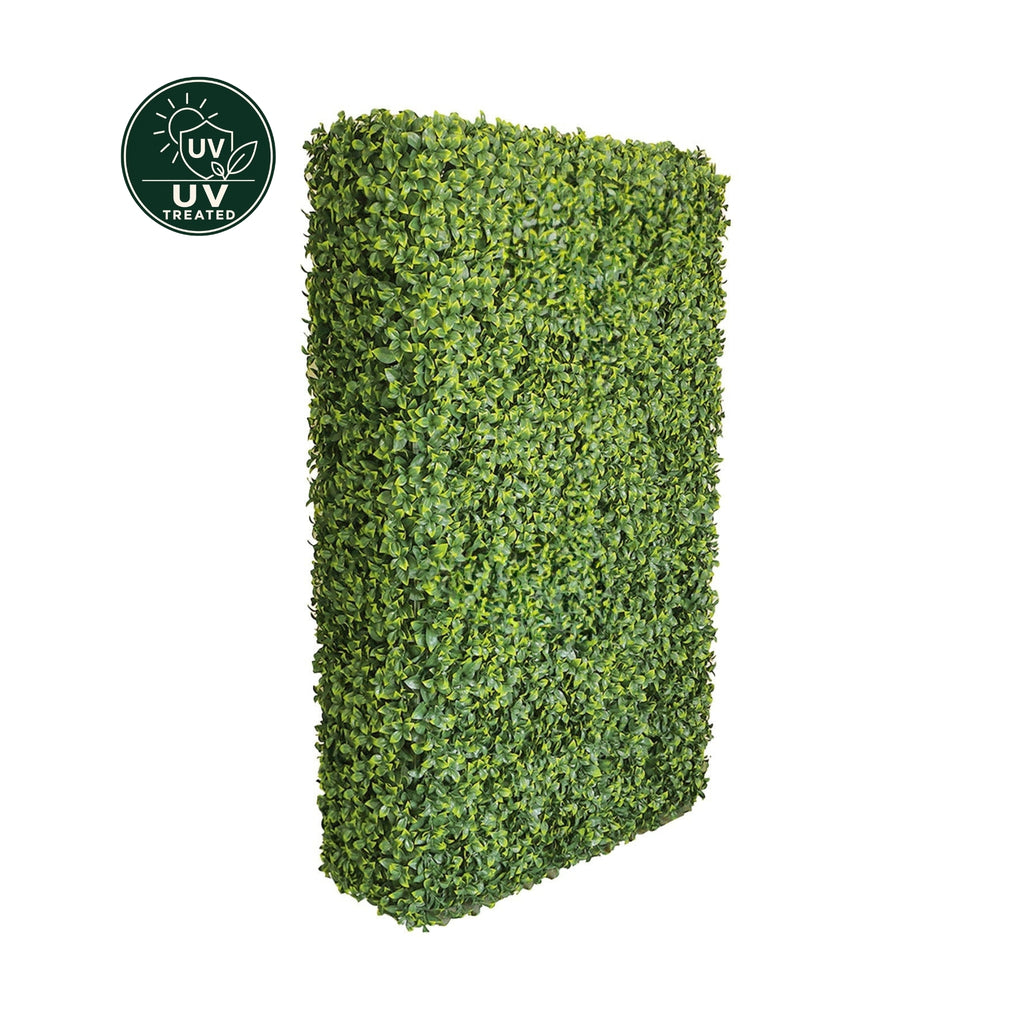 Artificial Freestanding Hedge Wall (UV Treated) - Pittosporum 150x100x25cm