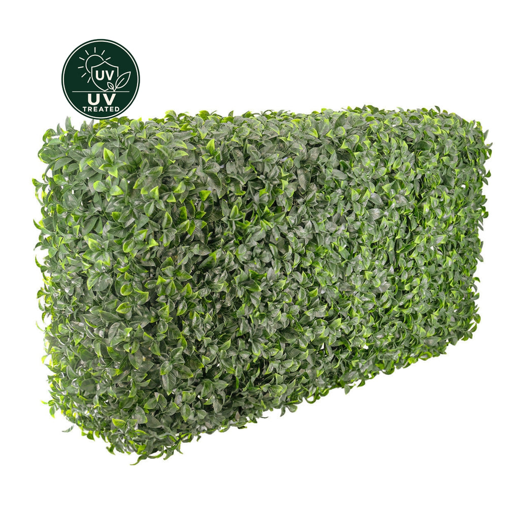 Artificial Freestanding Hedge Wall (UV Treated) - Pittosporum 50x100x25cm