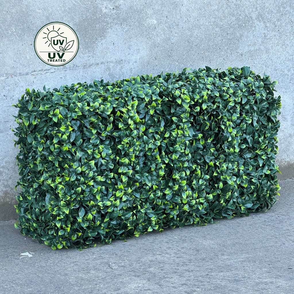 Artificial Freestanding Hedge Wall (UV Treated) - Pittosporum 75x100x25cm