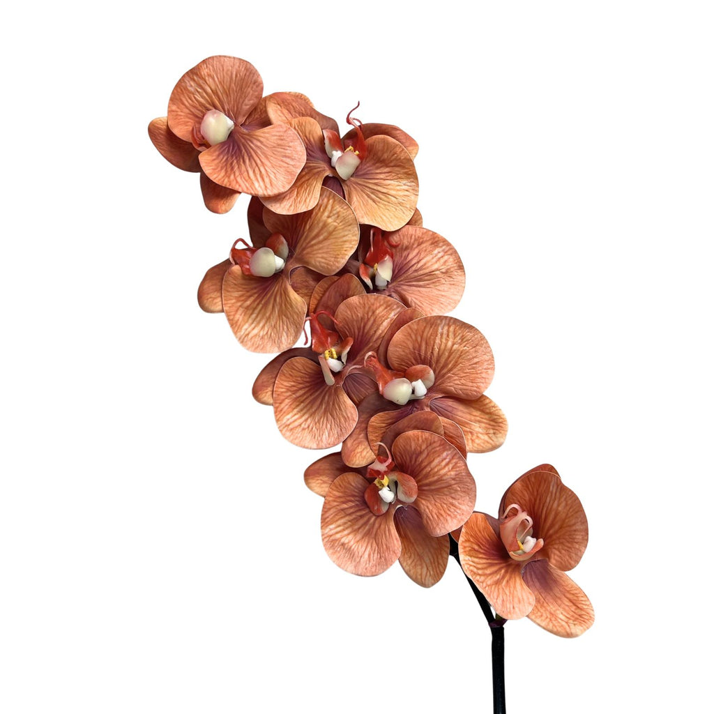 Real Touch Burnt Orange Moth Orchid
