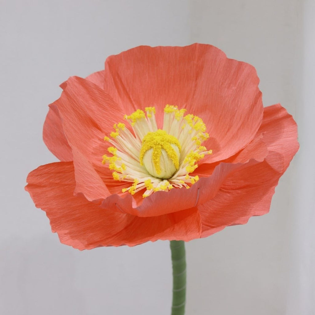 A Giant Orange Paper Flower flower with a yellow center on a plain background
