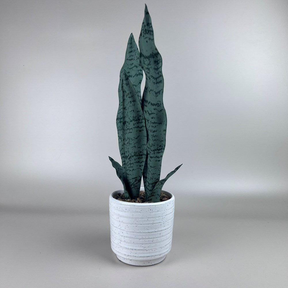 Artificial Sansevieria in White Pot - 42cm