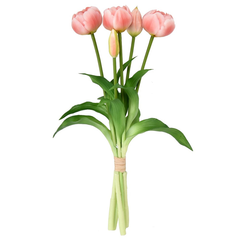 Bouquet of pink tulips with green leaves on a white background