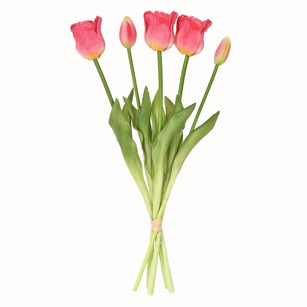 Bouquet of pink tulips with green stems on a white background