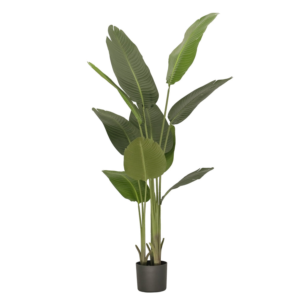 Artificial Bird of Paradise Plant