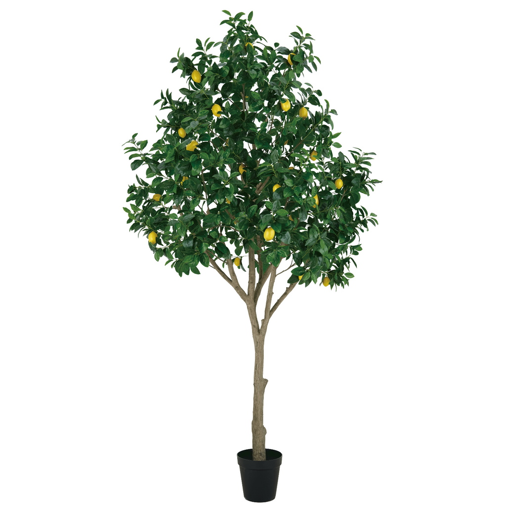 Artificial lemon tree with green leaves and yellow lemons in a pot on a white background