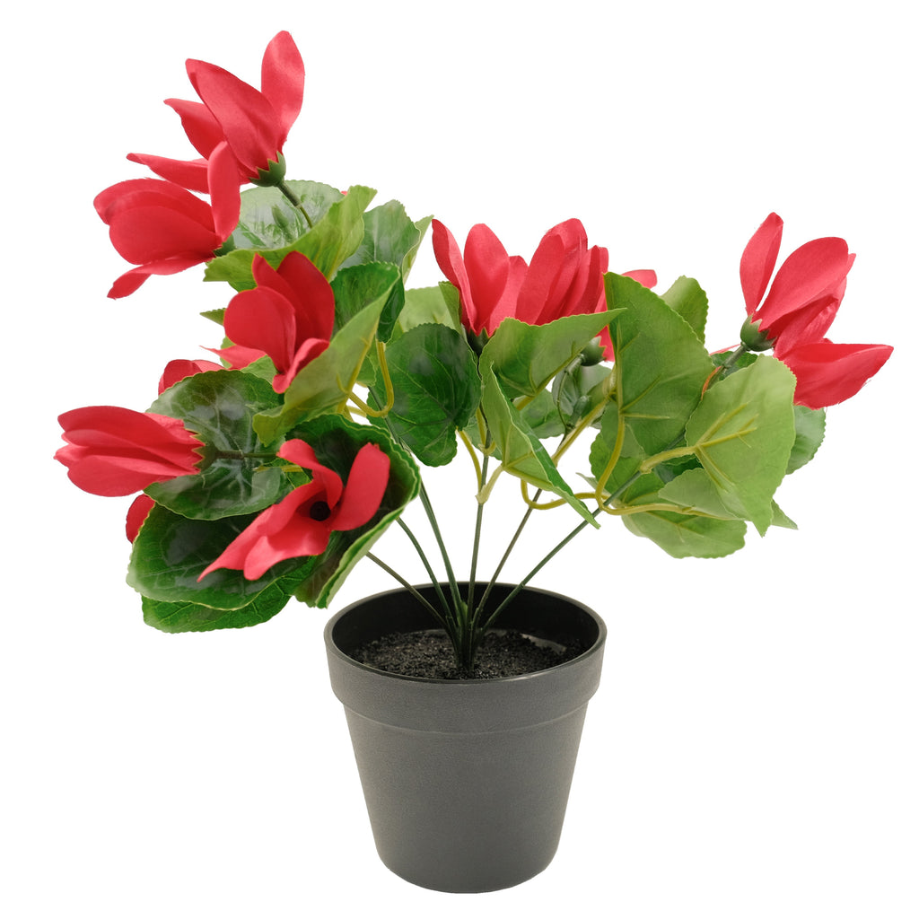 Artificial red flowering cyclamen plant in a black pot, with vibrant red blooms and green leaves.