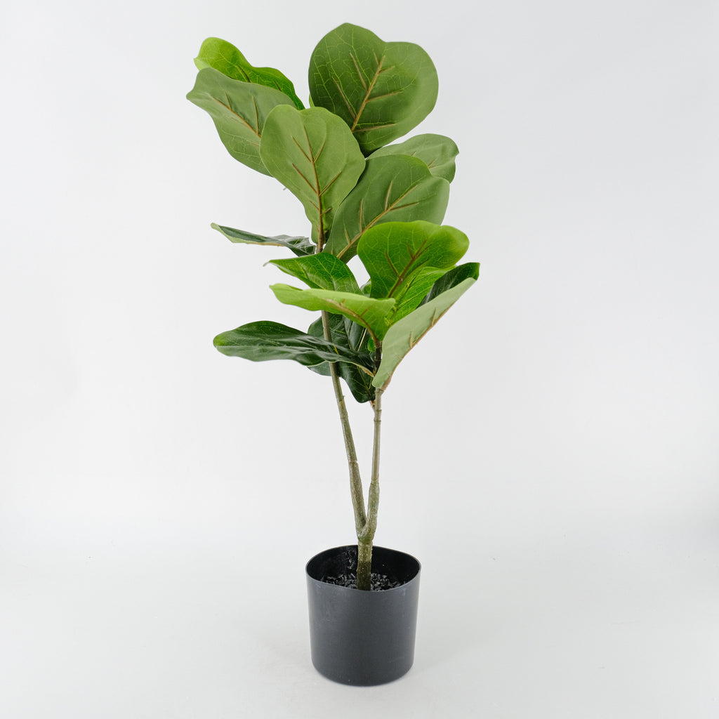 An artificial fiddle leaf fig plant in a black pot against a white background.