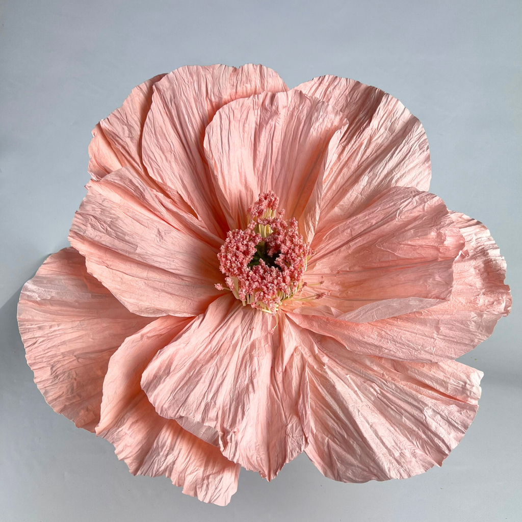 ELLA Giant Paper Flower Peony Peach 40cm
