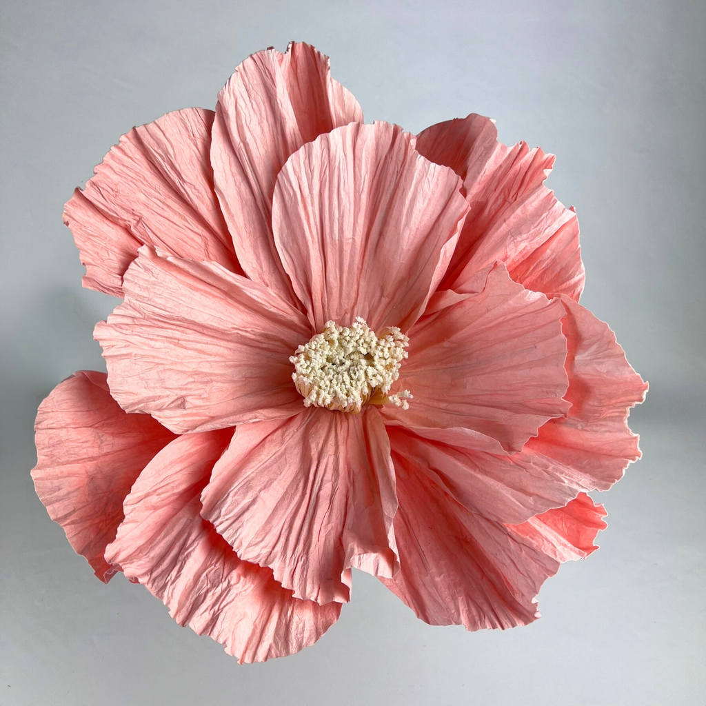 ELLA Giant Peony Paper Flower - Peach/White 40cm