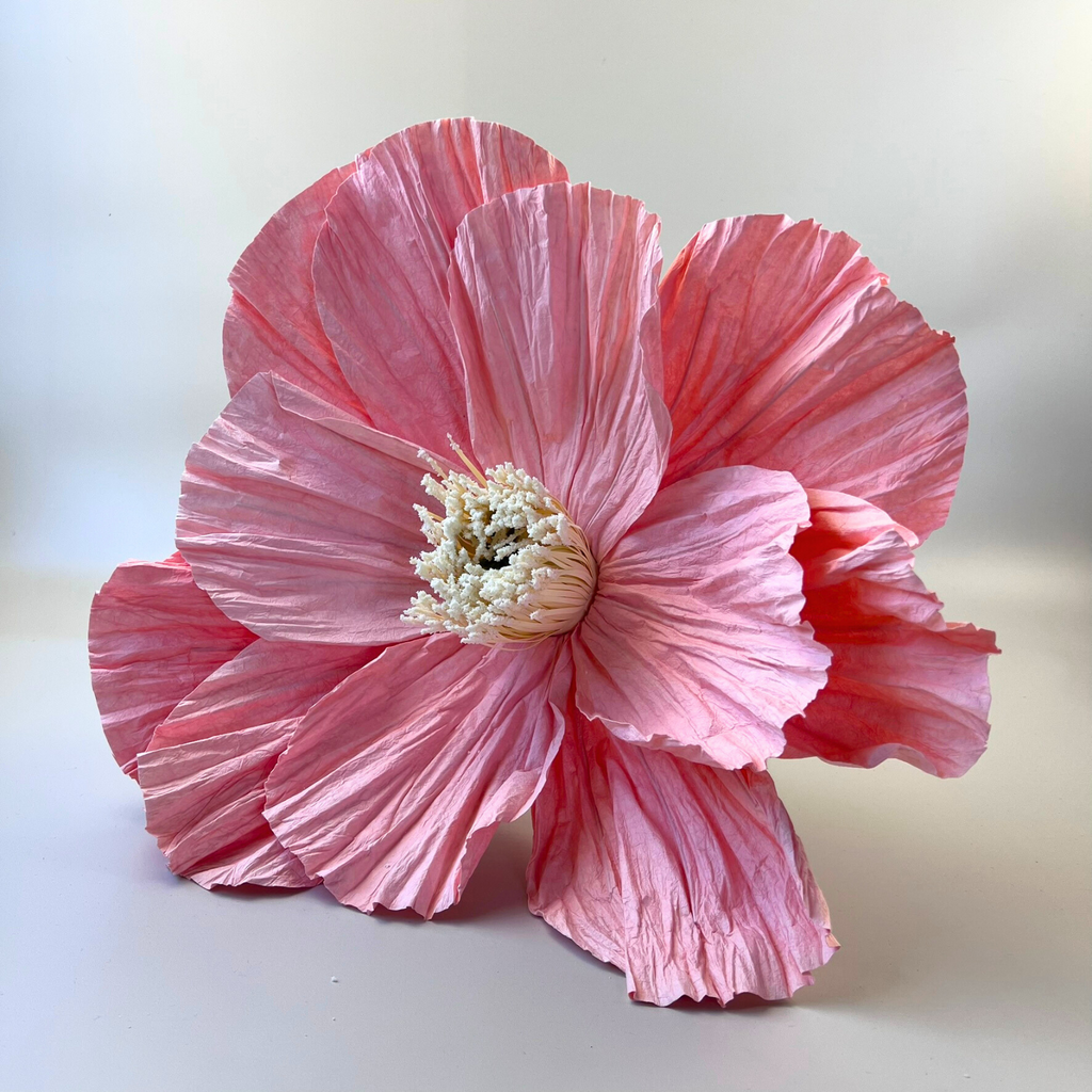 Ella 40cm Giant Peony Paper Flower Peach