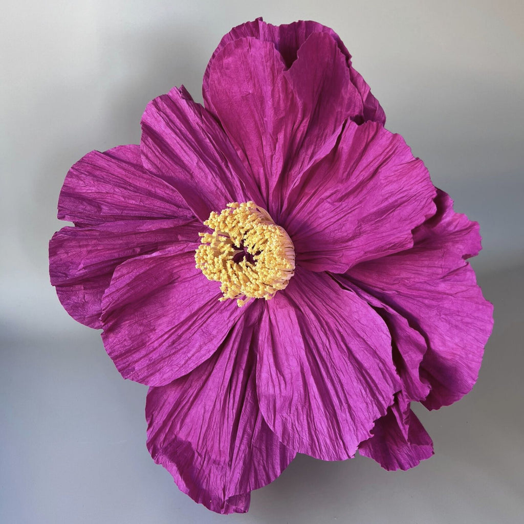 40cm giant ella peony with layered purple petals and a cream centre against a plain background