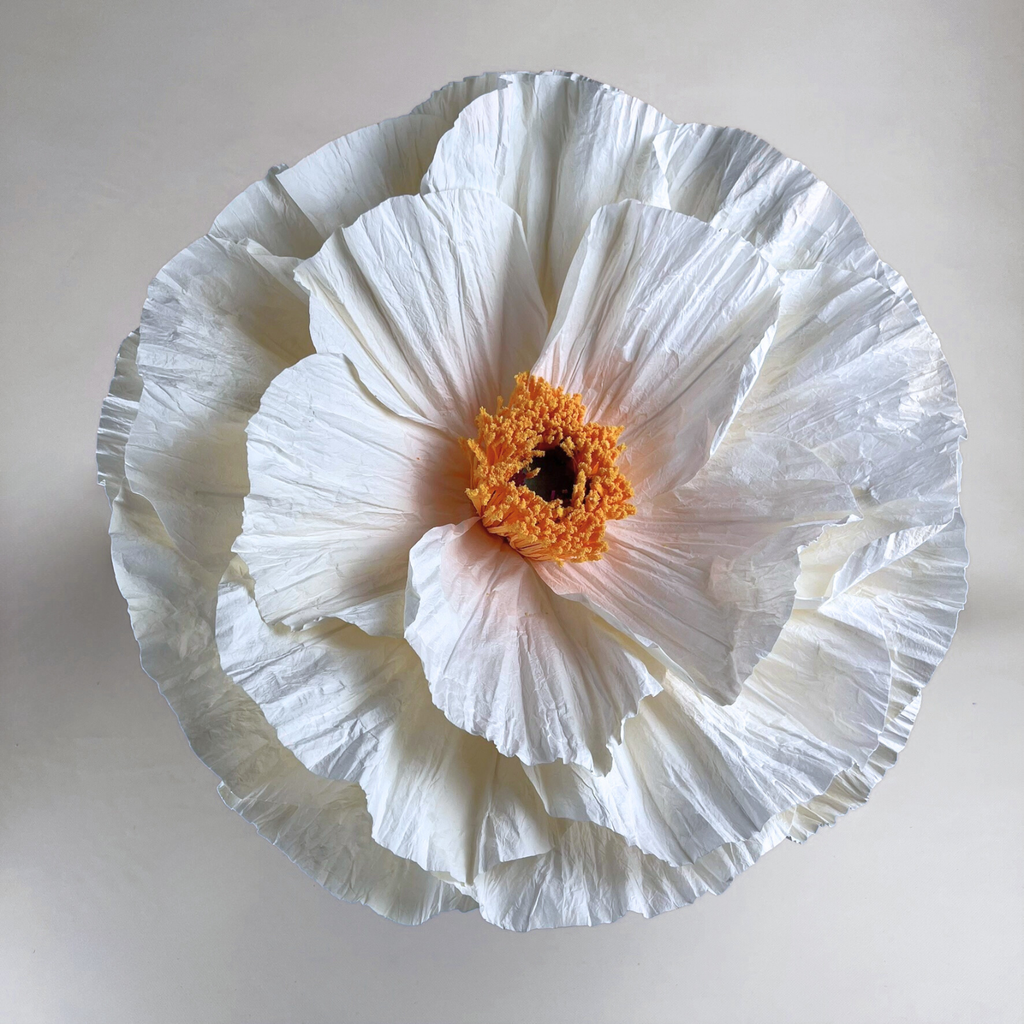 White and orange Ella giant paper flower on a beige background 