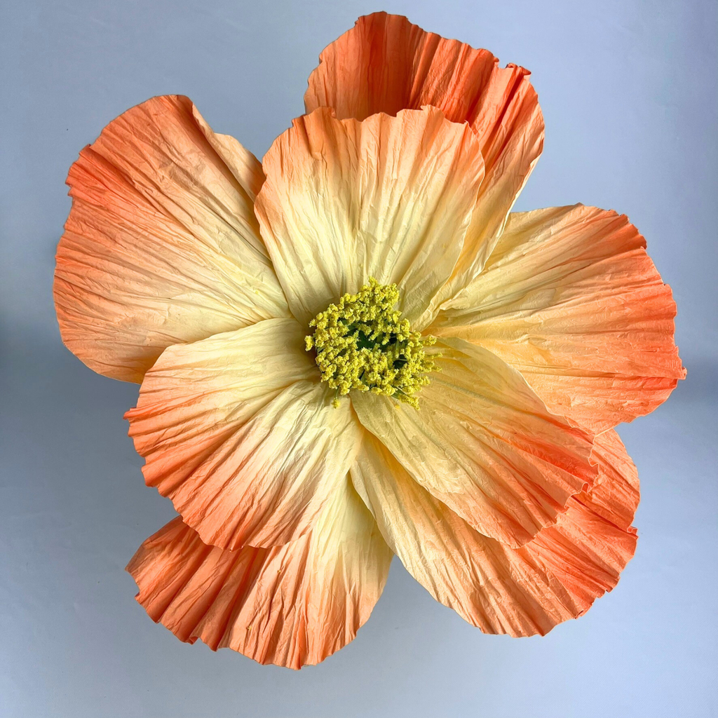 ELLA Giant Peony Paper Flower Orange 40cm