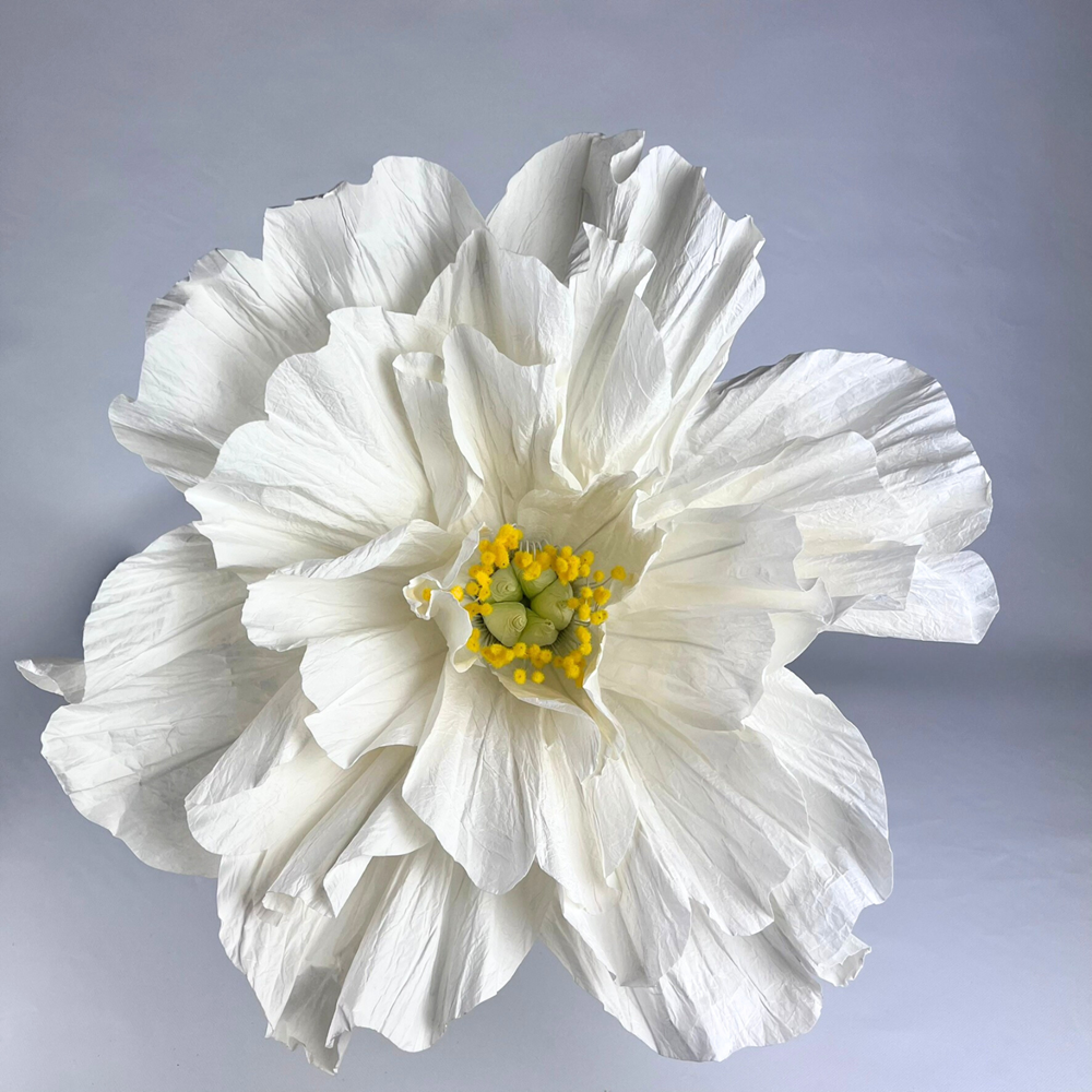 OLIVIA Giant Crepe Paper Flower - White 40cm