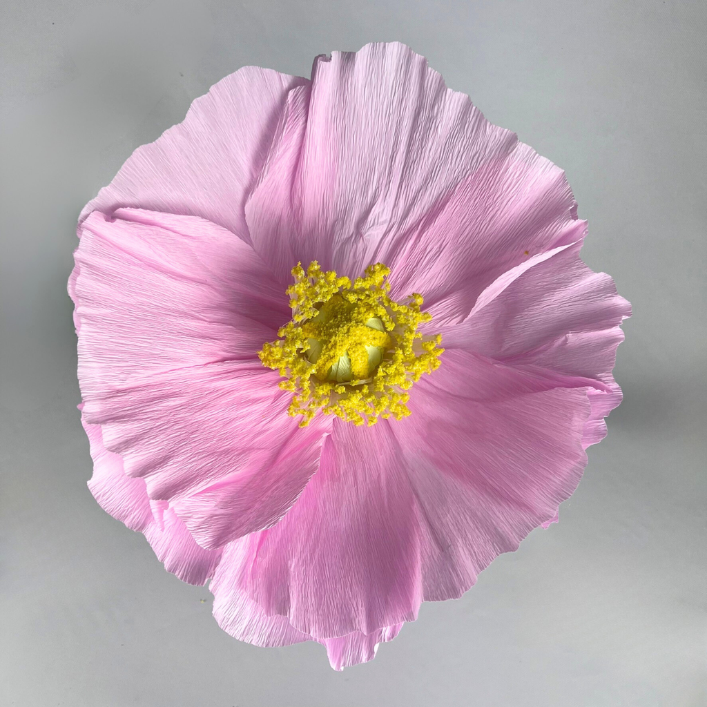 CHARLIE Giant Paper Flower Light Pink 30cm