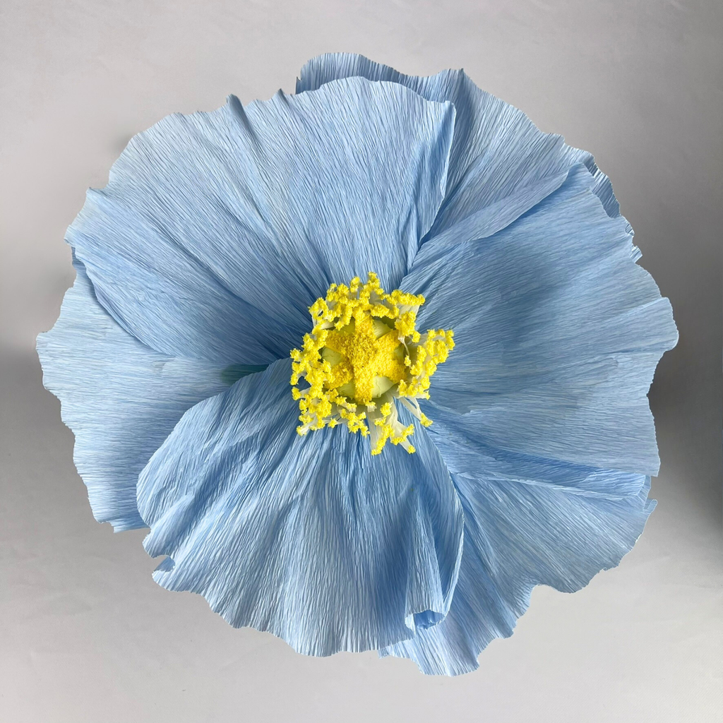 CHARLIE Giant Crepe Flower Blue 30cm