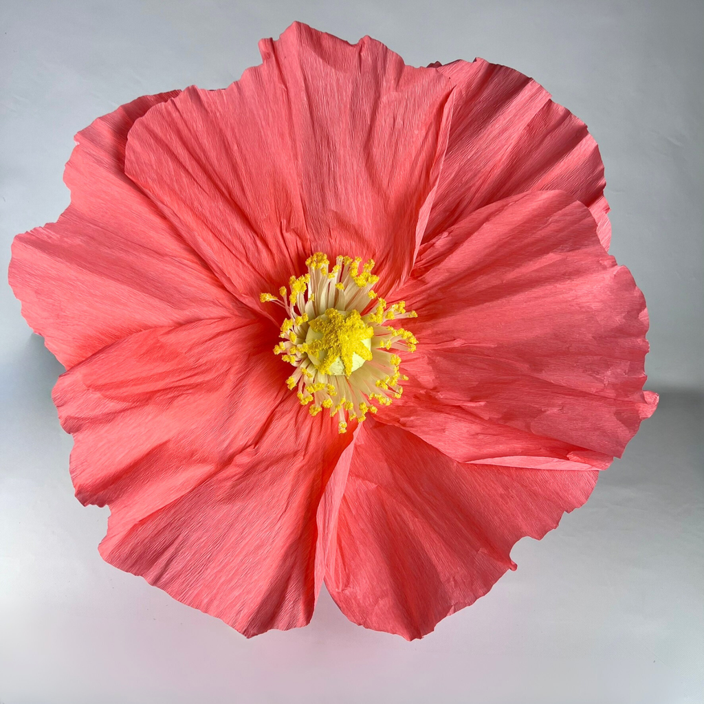 CHARLIE Giant Paper Flower Orange 60cm