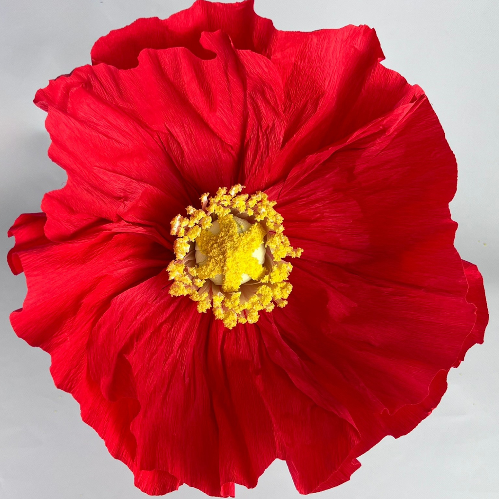 CHARLIE Giant Crepe Flower Red 40cm