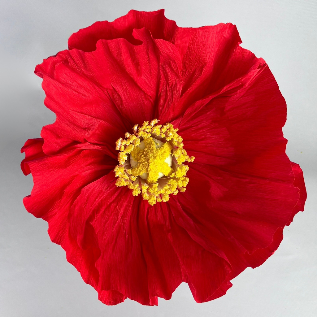 CHARLIE Giant Crepe Flower Red 30cm