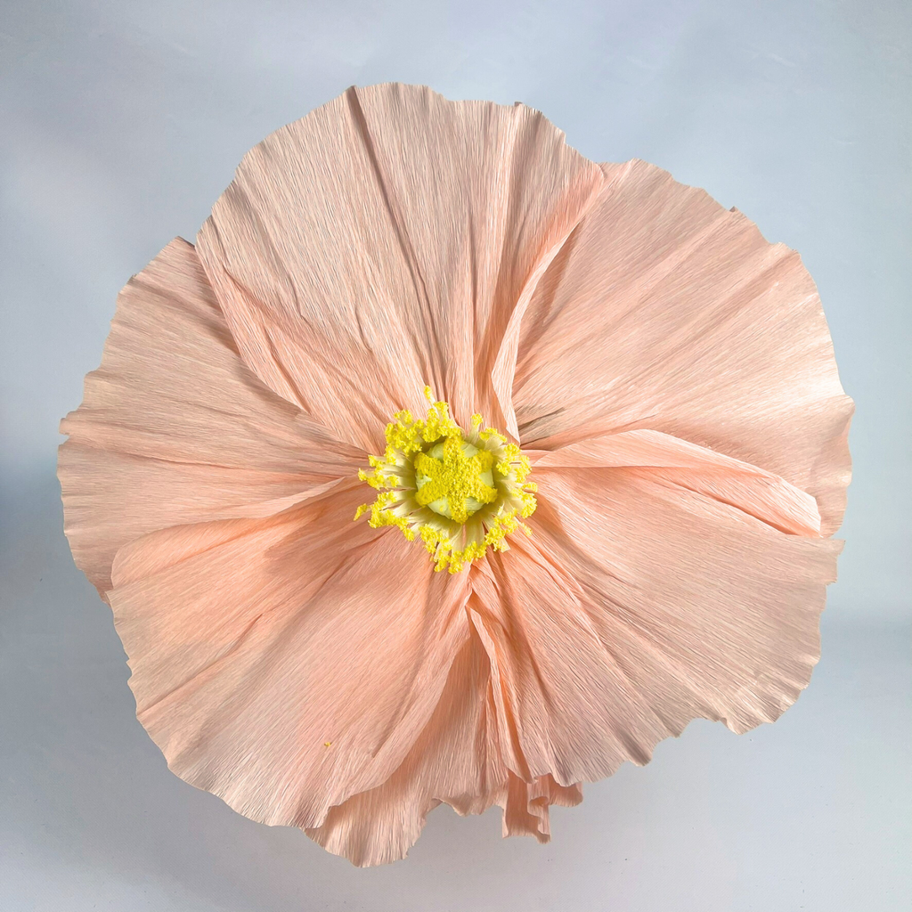 Close up of a peach giant artificial giant flower with a yellow centre on a beige background
