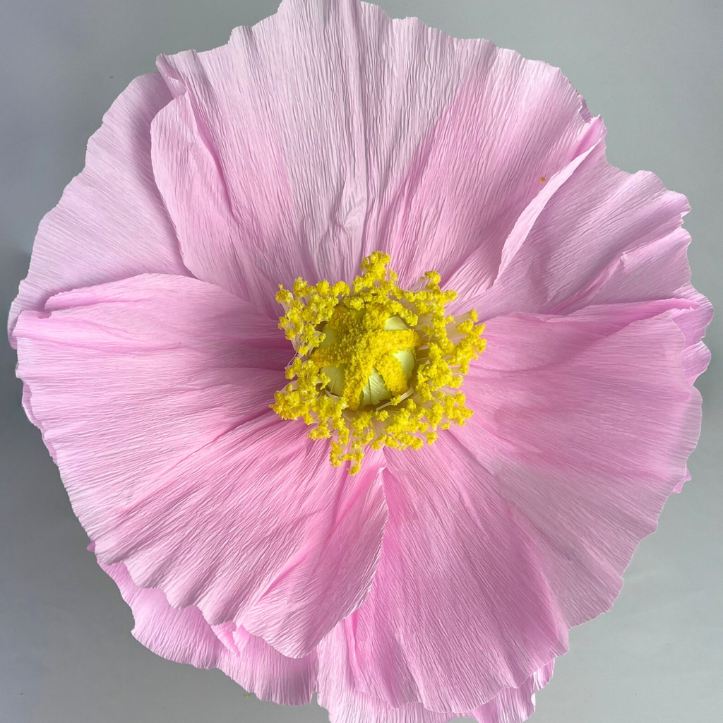 CHARLIE Giant Paper Flower Light Pink 40cm