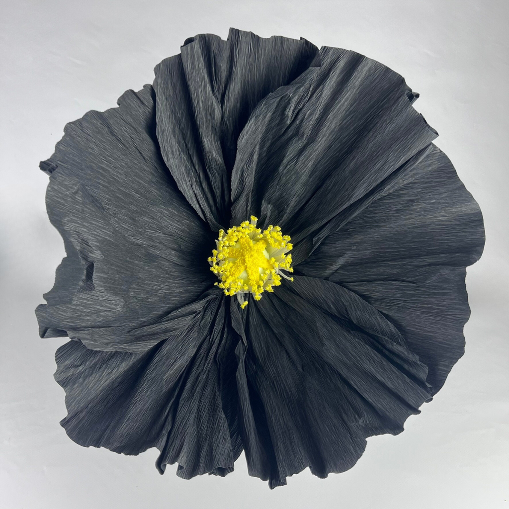CHARLIE Giant Crepe Flower Black 40cm