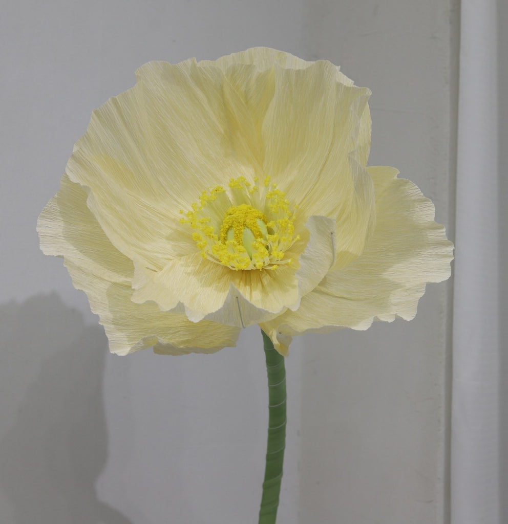 Light yellow large crepe paper flower against a plain background