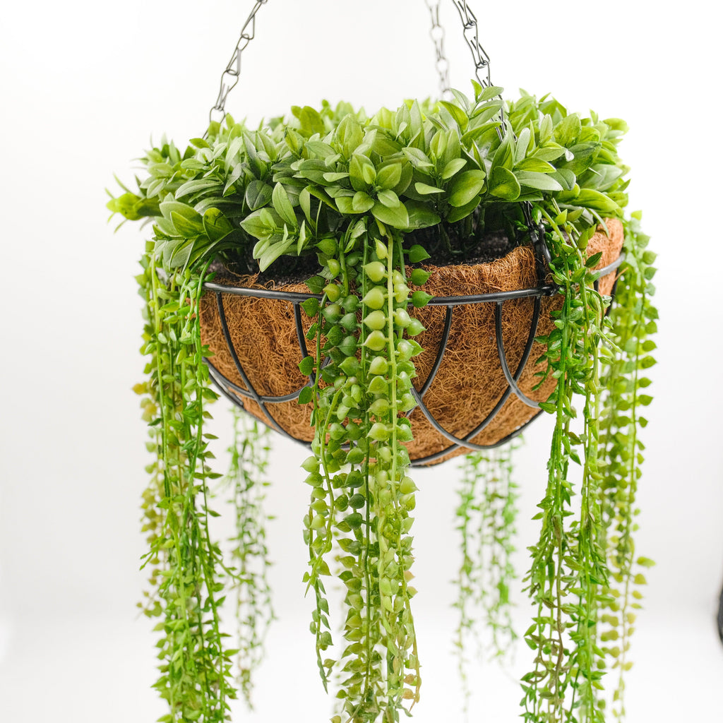 string of pearls artificial plant hanging basket Artificial String Of Pearls with Hanging Basket 50cm – HG Living Co