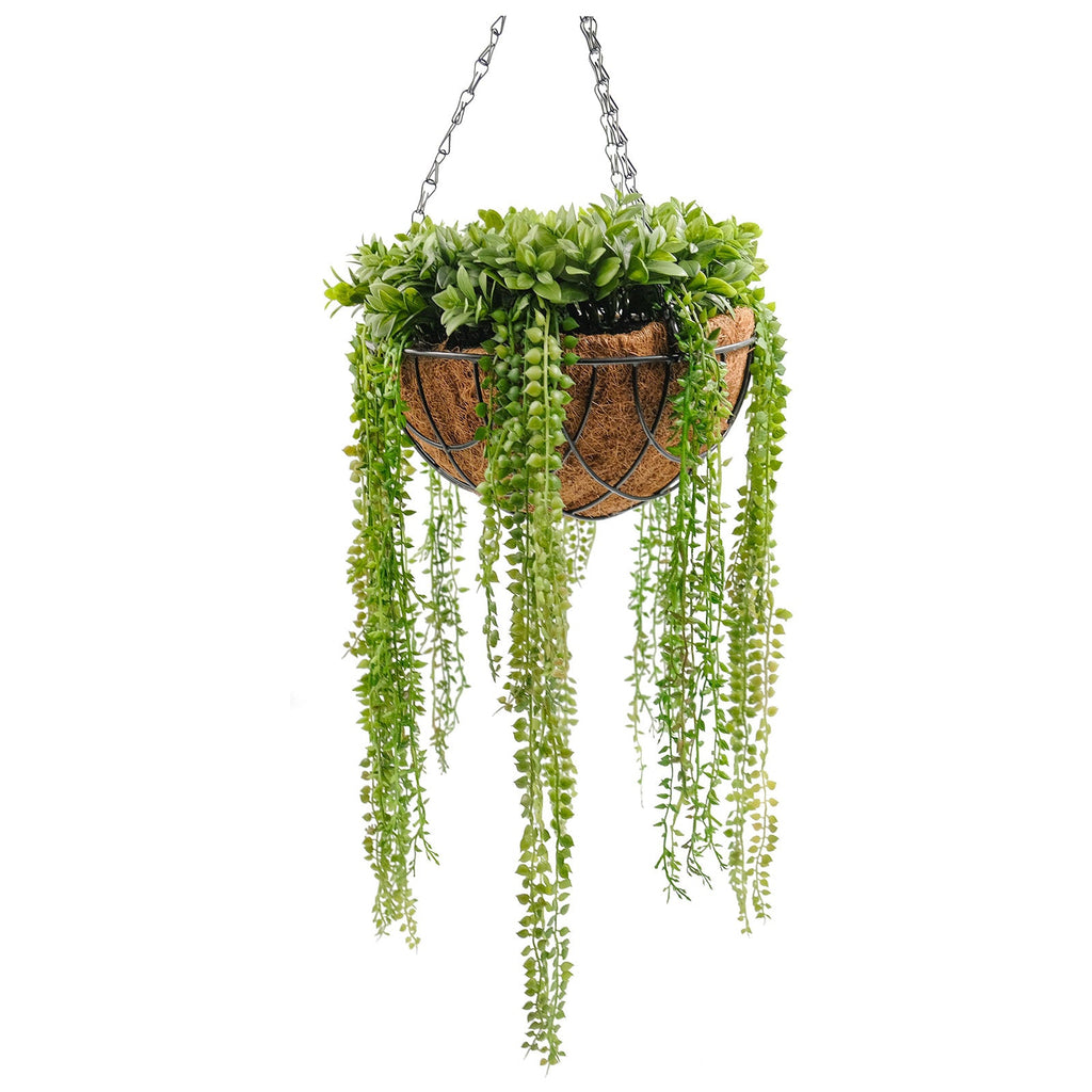 String Of Pearls Hanging Basket - 50cm
