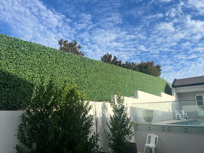 Modern pool area with a glass fence, chairs, and a green wall artificial plant screen fence