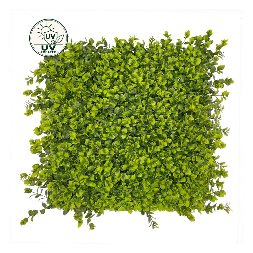 Artificial Hedge Tile (UV Treated) - Winter Creeper 50x50cm