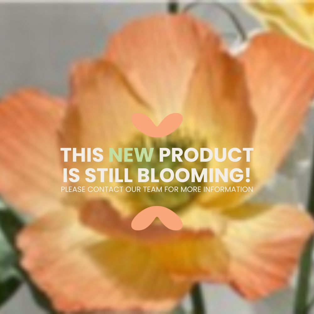 Ella 40cm Giant Peony Paper Flower Orange