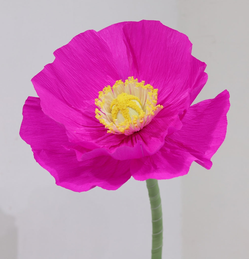 A paper giant Hot Pink flower with yellow center on a plain background