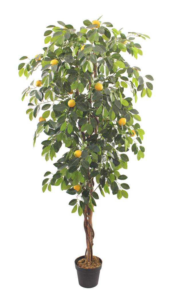 Artificial potted lemon tree with green leaves and yellow fruits on a white background