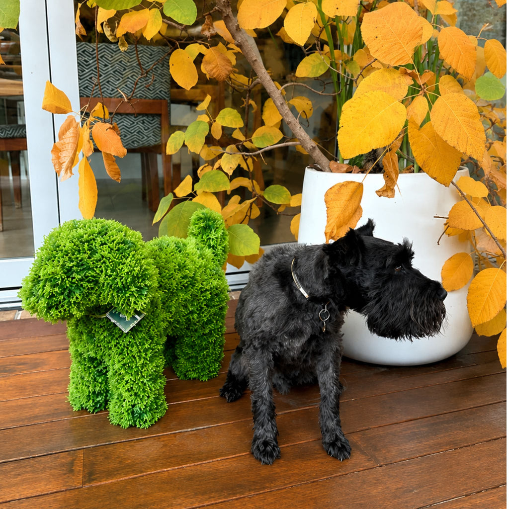 LUNA Topiary Cypress Puppy Dog - Light Green 37cm
