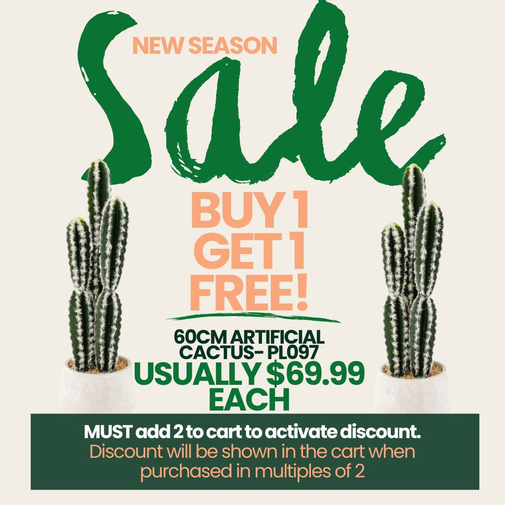 BLACK FRIDAY BULK BUY SPECIAL - 2 for 1 offer! Artificial Cactus - 60cm