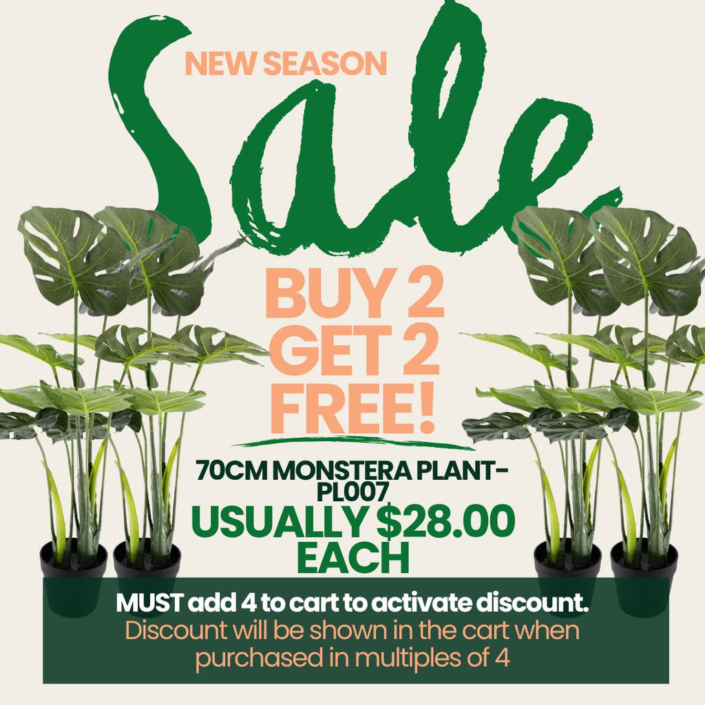 Advertisement for a plant sale with text and images of monstera plants.