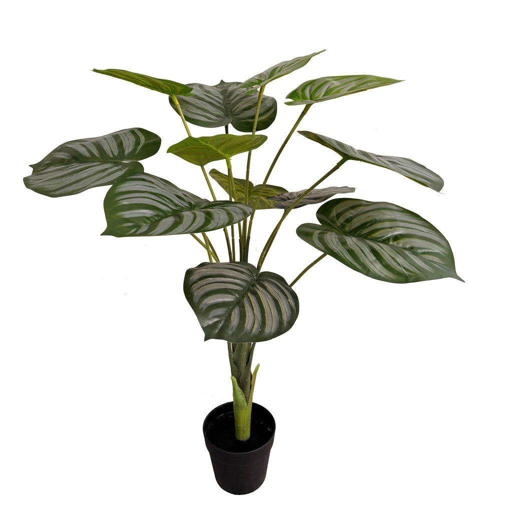 Artificial Calathea Orbifolia Plant 90cm