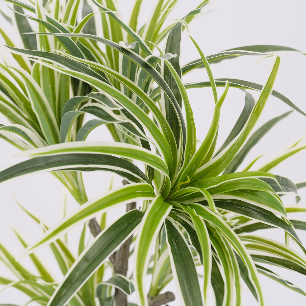 artificial spider plant Artificial Spider Plant Bush